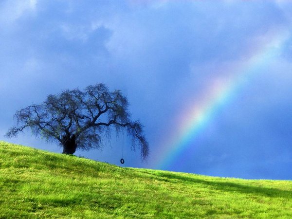�m �i
 Rainbow 