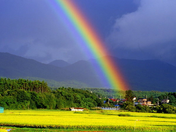�m �i
 Rainbow 