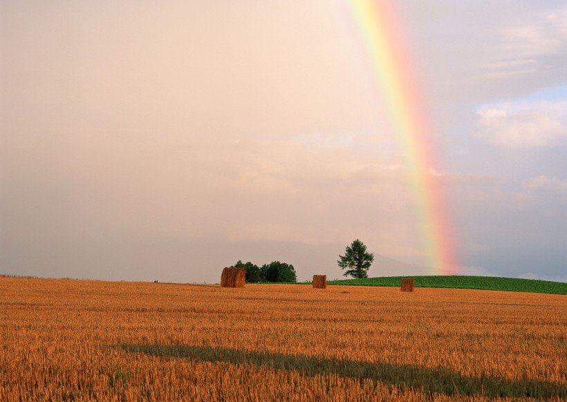 �m �i
 Rainbow 