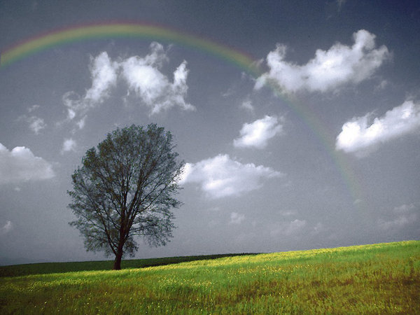 �m �i
 Rainbow 