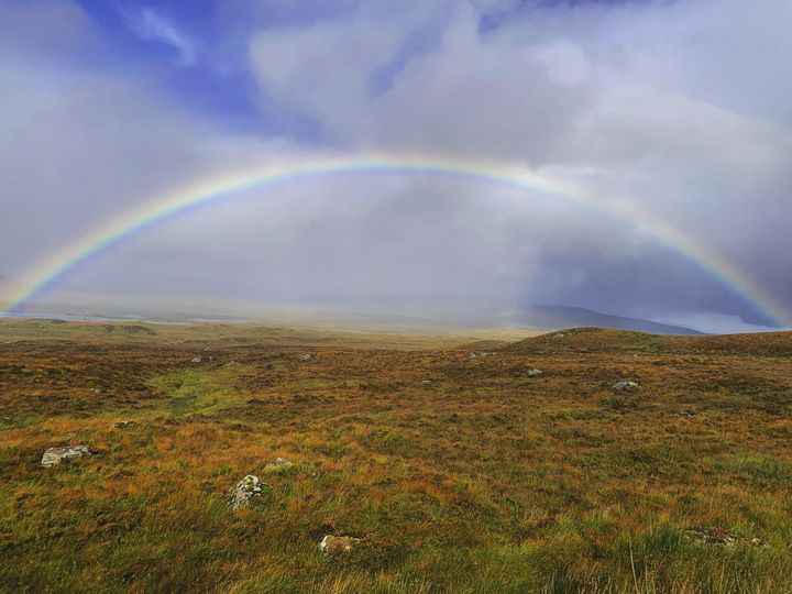 �m �i
 Rainbow 