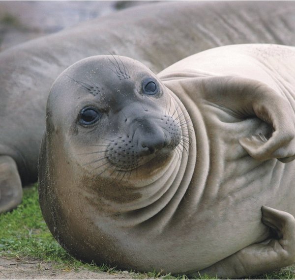 The Natural Life of Animals
�j �� �M �� �� �F  