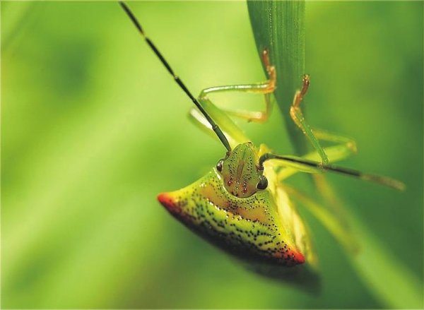 The Natural Life of Animal
�j �� �M �� �� �F  