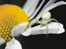 The Natural Life of Animal
�j �� �M �� �� �F 