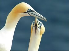 The Natural Life of Animal
�j �� �M �� �� �F 
