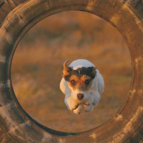 The Natural Life of AnimalS
�j �� �M �� �� �F  