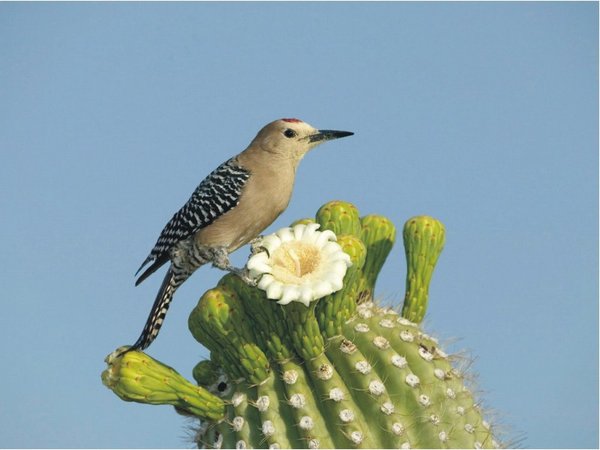 The Natural Life of AnimalS
�j �� �M �� �� �F  