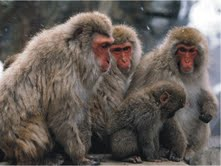The Natural Life of Animal
�j �� �M �� �� �F 