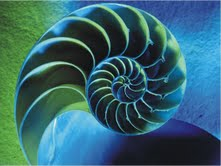 The Natural Life of Animal
�j �� �M �� �� �F 