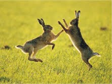 The Natural Life of Animal
�j �� �M �� �� �F 