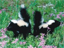 The Natural Life of Animal
�j �� �M �� �� �F 