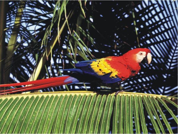 The Natural Life of Animals
�j �� �M �� �� �F  