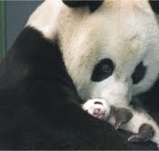 The Natural Life of Animal
�j �� �M �� �� �F 