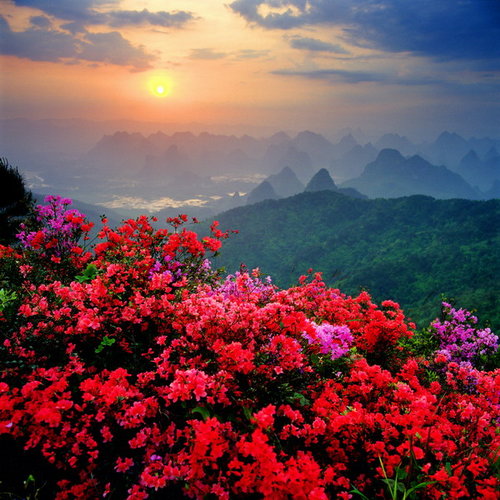 �s�����
Scenery of GuangXi 