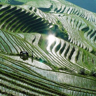 �s�����
Scenery of GuangXi 