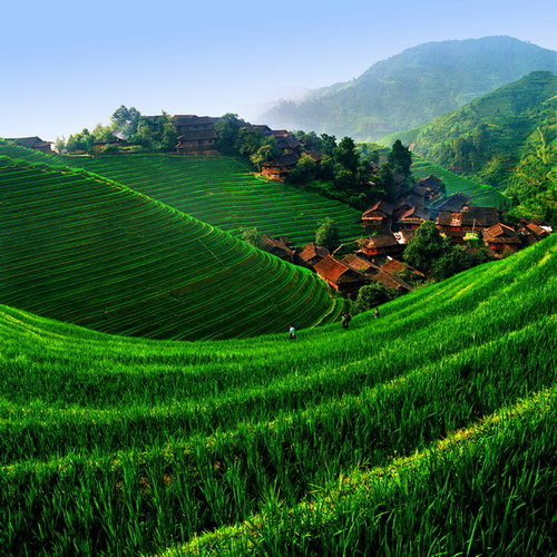 �s�����
Scenery of GuangXi 