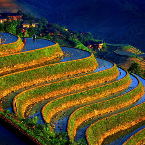 �s�����
Scenery of GuangXi 
