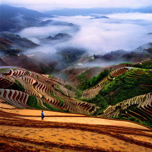 �s�����
Scenery of GuangXi 
