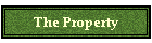 The Property