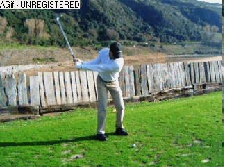 Swing de Alfonso Araluce