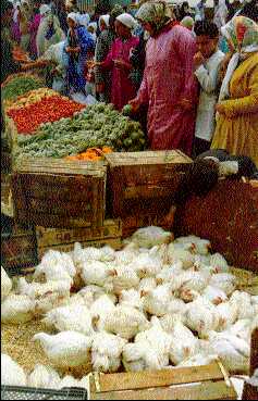 Mercado