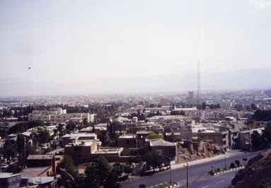 Picture of Shiraz