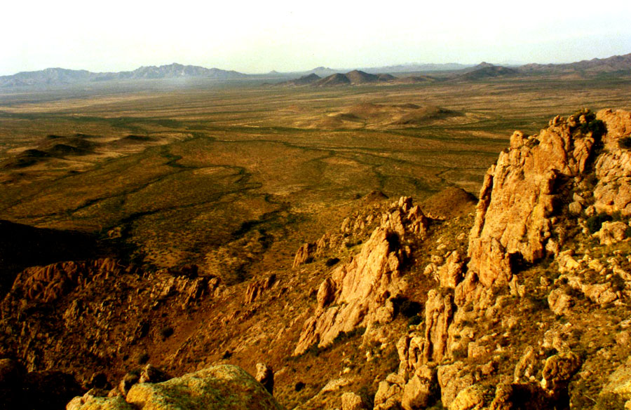 the desert
