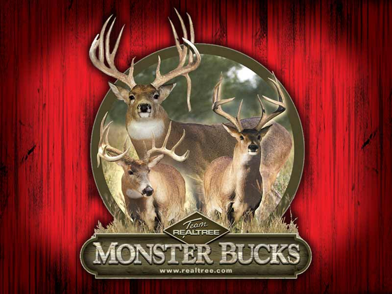 Monster Bucks