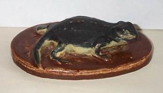 Scarce Horned Toad paperweight