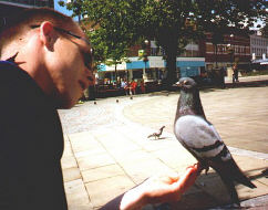 Castle Square, Swansea
