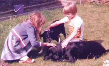 David, Sam & Cindy