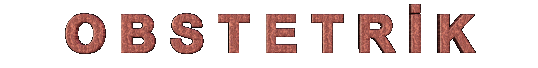 coobst.gif (10014 bytes)