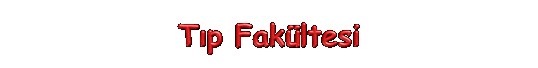 cotip.gif (4138 bytes)