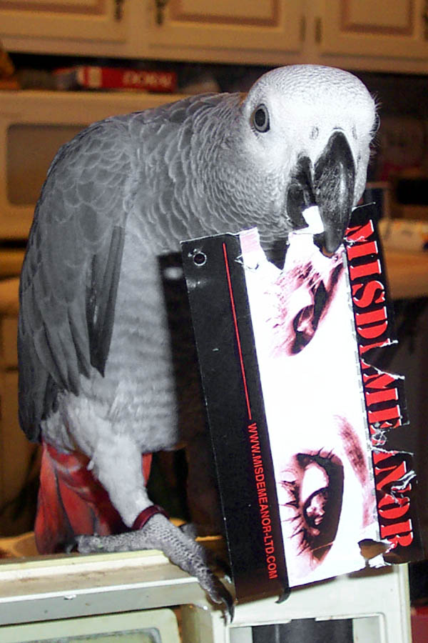 this has been "gonzo-ized"!