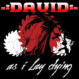 -=DAVID=-