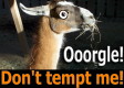 Don't be a llama!