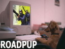 [DTK] Roadpup