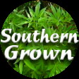 -=GI=-Southern Grown