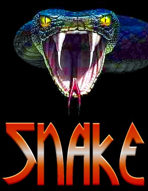[DTK] Snake