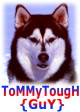 [DTK] ToMMy TougH {GuY}