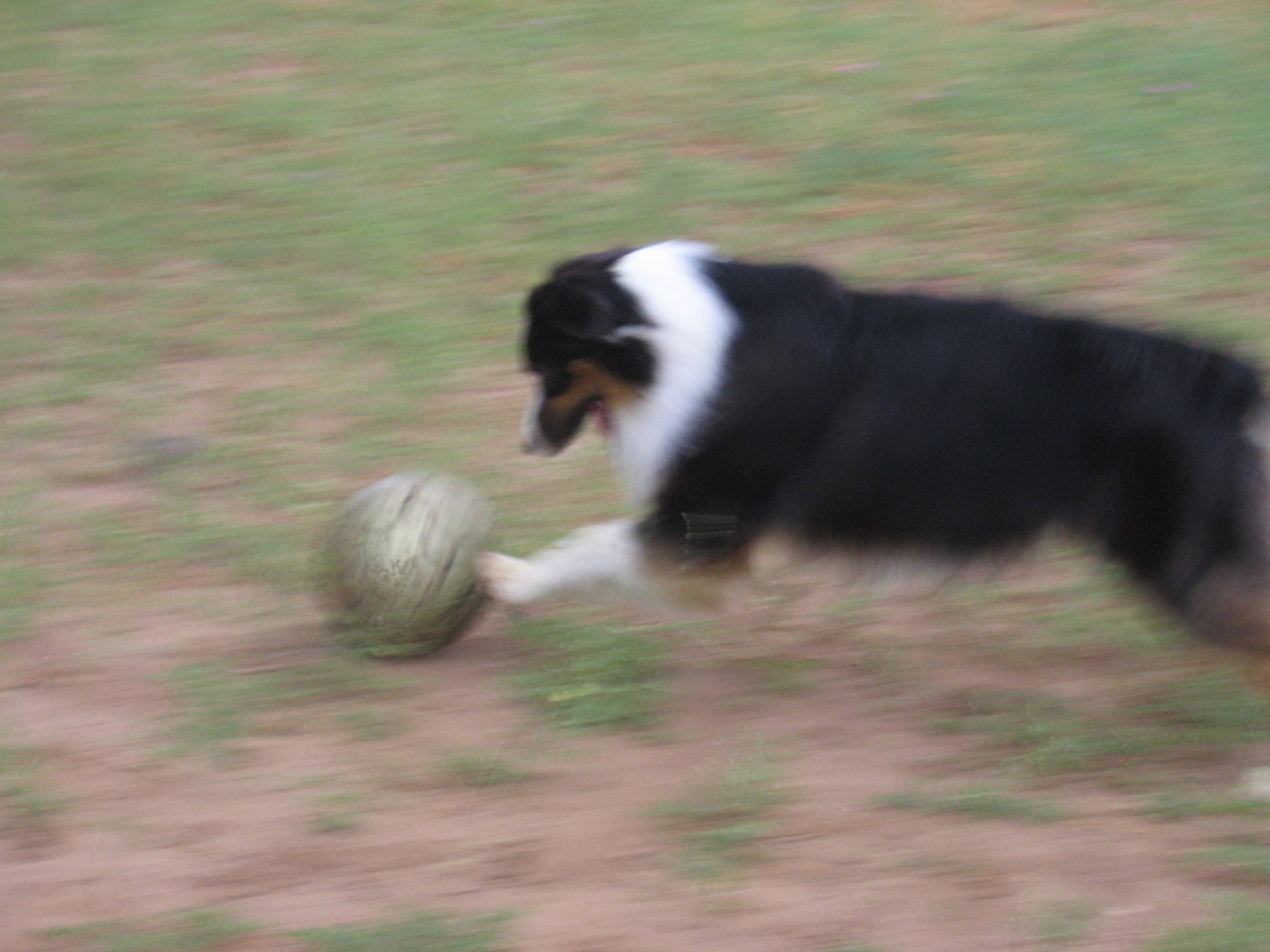 GOAL!