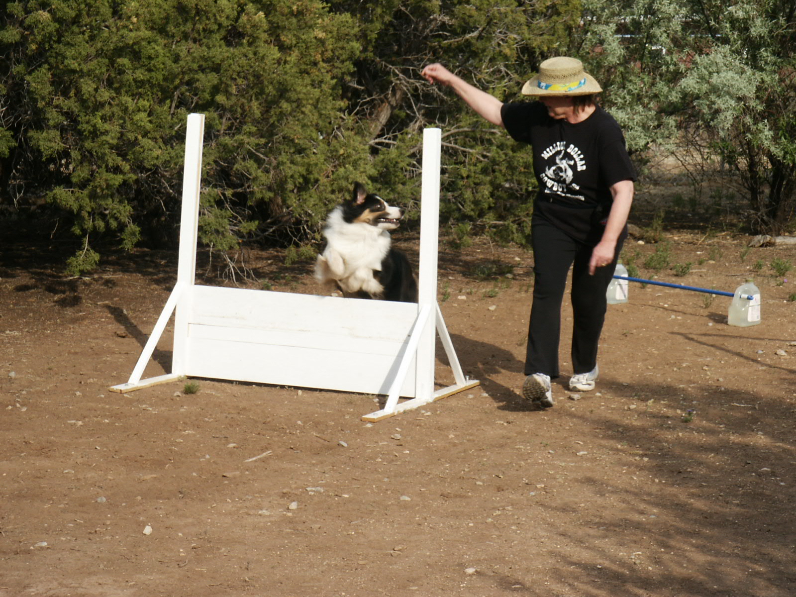 Learning the high jump