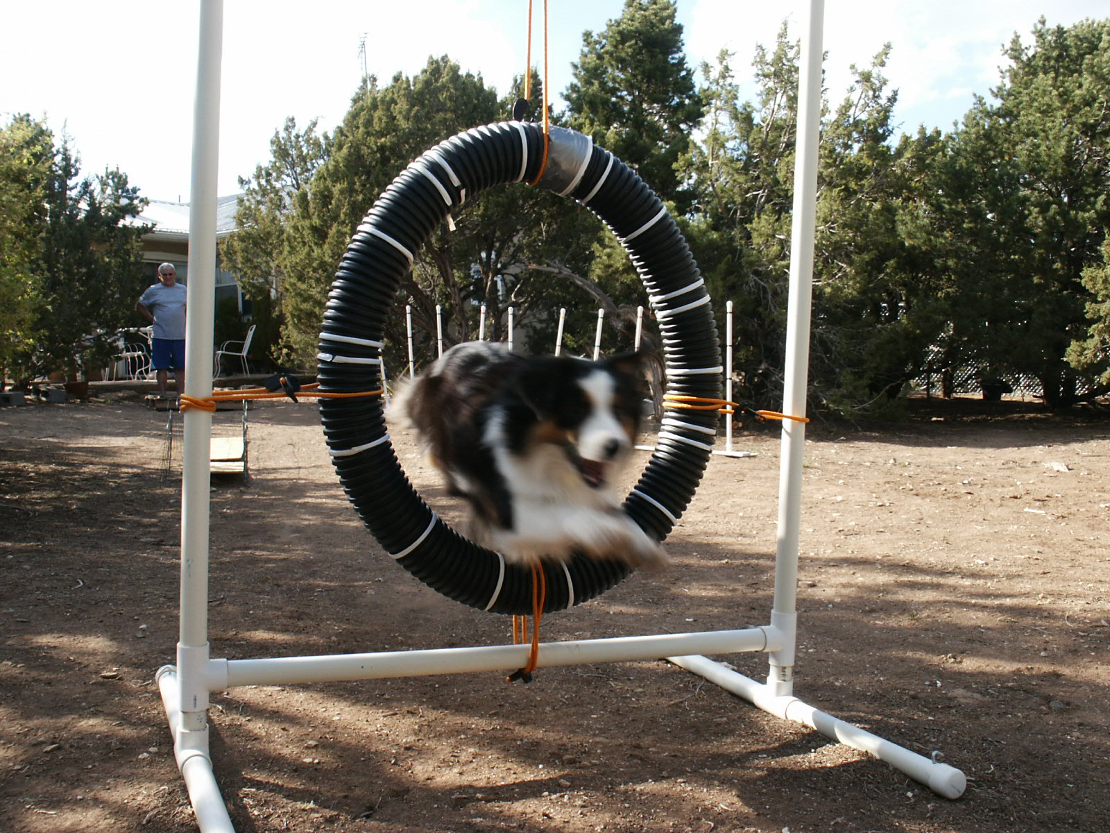 Go Tire!
