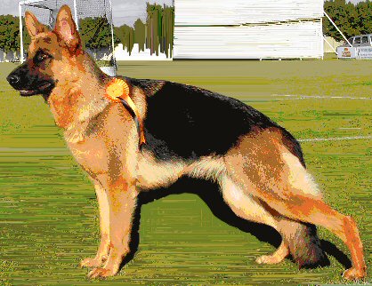 Uschi of Rydene