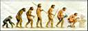 Evolution.jpg: That's just the way it goes.
