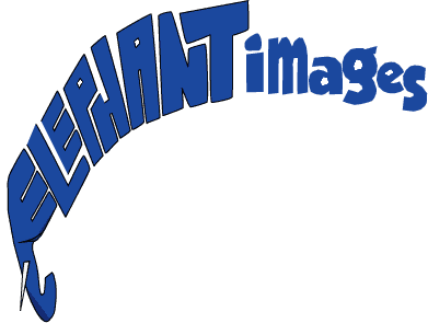 Elephant images