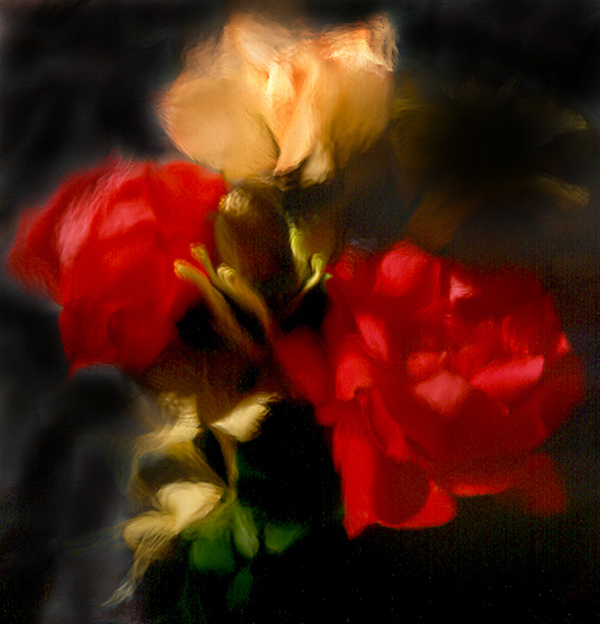 impressionistic picture of honysucle & roses