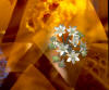Flower Collage