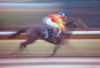 blureed images of speeding race horse