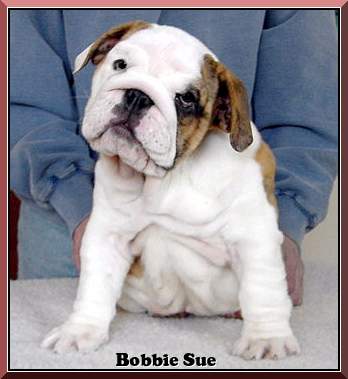 Bobbie Sue Photo 3